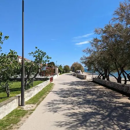 Apartment Seeview 1 Bedroom 50 M From *